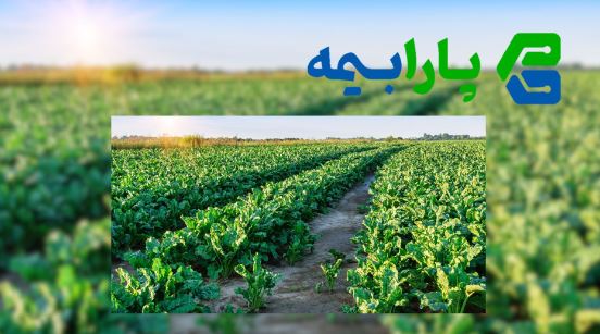 استارتاپ پارابیمه به عنوان اولین شرکت فناور در حوزه بیمه‌گری، مجوز ورود به سندباکس بیمه مرکزی را دریافت کرد