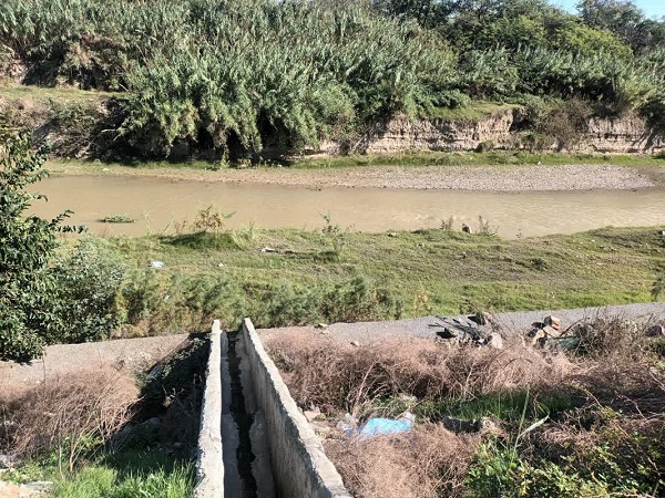 سورتینگ معصومی