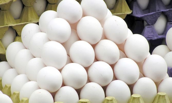قیمت هرشانه تخم مرغ برای مصرف کننده ۱۷۰ هزارتومان