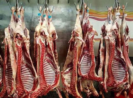 تامین اقلام پروتئینی مورد نیاز ایام محرم/ نظارت مستمر برای جلوگیری از گرانفروشی ادامه دارد تامین اقلام پروتئینی مورد نیاز ایام محرم/ نظارت مستمر برای جلوگیری از گرانفروشی ادامه دارد