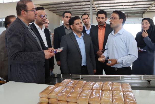 بازدید معاون صنایع عمومی وزارت صمت از واحدهای تولیدی مستقر در شهرک صنعتی بجنورد، اسفراین و شیروان