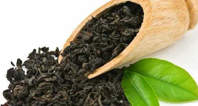 طرح واردات چای در ازای خرید تولید داخل آغاز شد