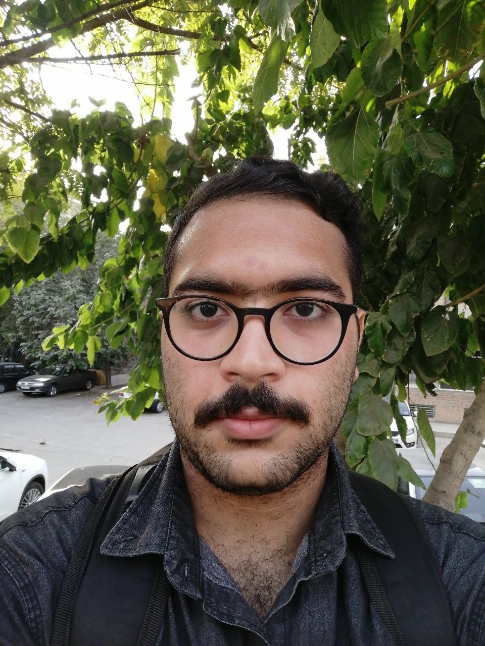 Amirreza Talebi