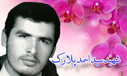 شهید سید احمد پلارک روایت شهیدی که مزارش بوی عطر می‌دهد
