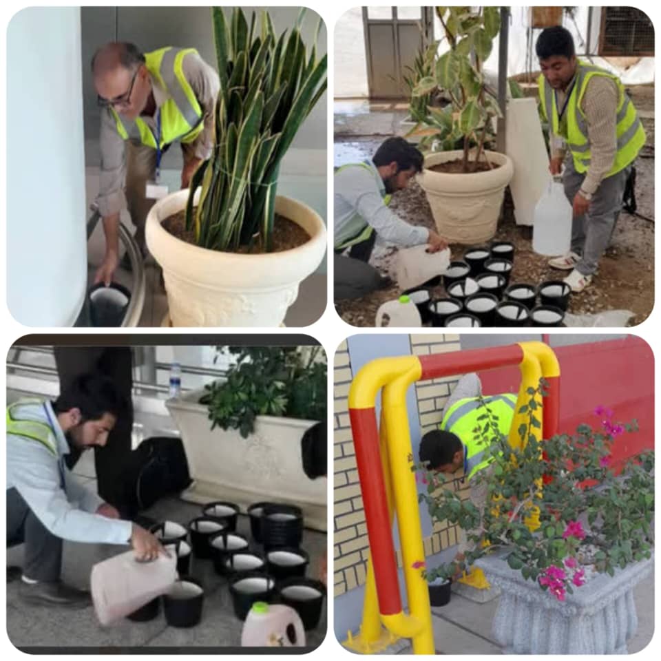 ️پایش هدفمند پشه آئدس در فرودگاه امام خمینی (ره) آغاز شده است