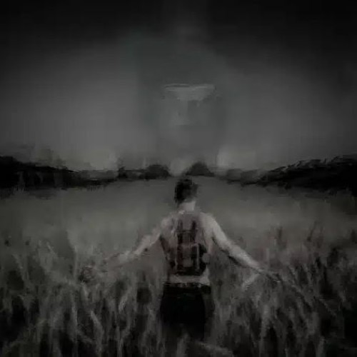 دانلود آهنگ علی سورنا به نام باد پیچید تو مزرعه ی گندم