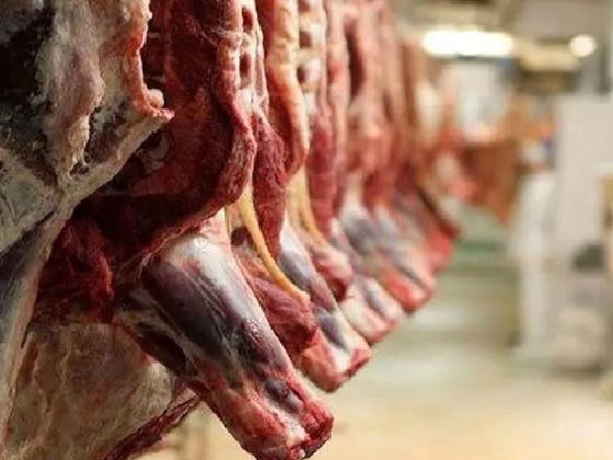 خودکفایی گوشت، قربانی رانت واردات شد خودکفایی گوشت، قربانی رانت واردات شد