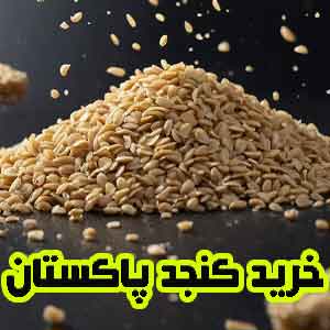 خرید کنجد پاکستانی