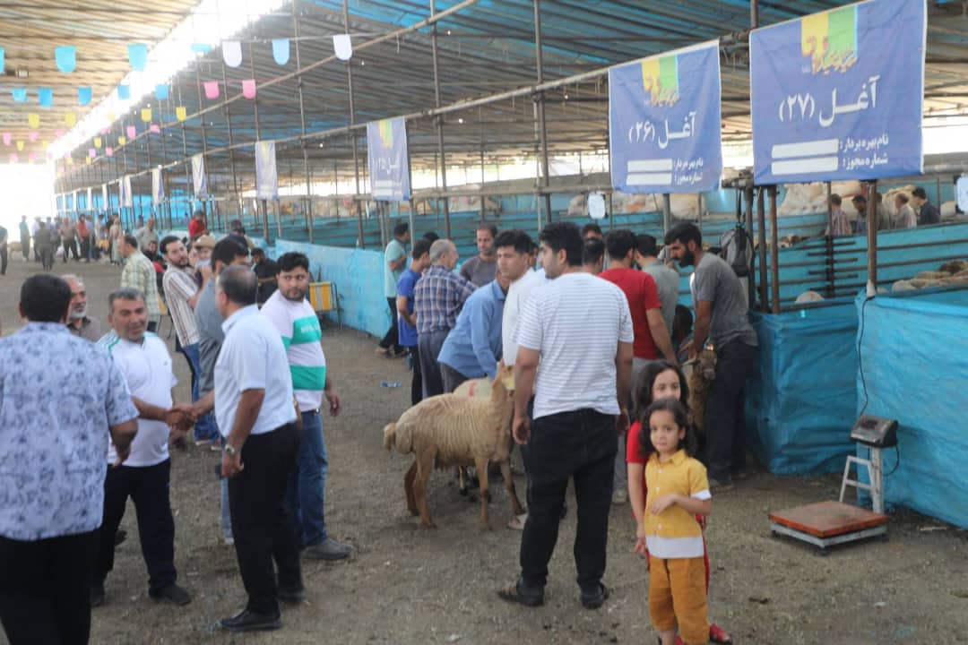 برپایی بزرگ‌ترین قربانگاه شهر تهران در فضای ۴ هزار متری با امکانات کامل در منطقه ۱۹