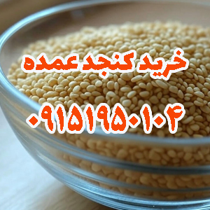 کنجد پاکستانی با کیفیت وارداتی