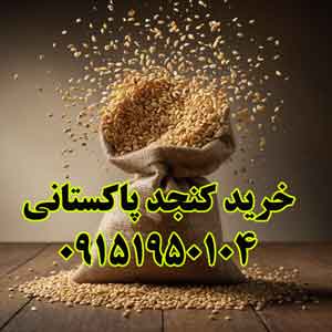 خرید کنجد پاکستانی