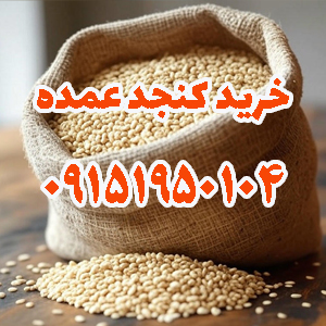 کنجد سفید عمده برای کارخانه‌های ارده‌سازی