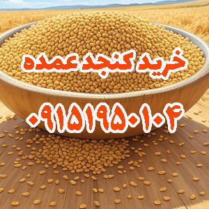 بارگیری کنجد وارداتی از پاکستان به ایران