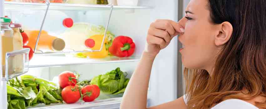 خرابی های یخچال فریزر و ساید بای ساید هیمالیا در بابلسر