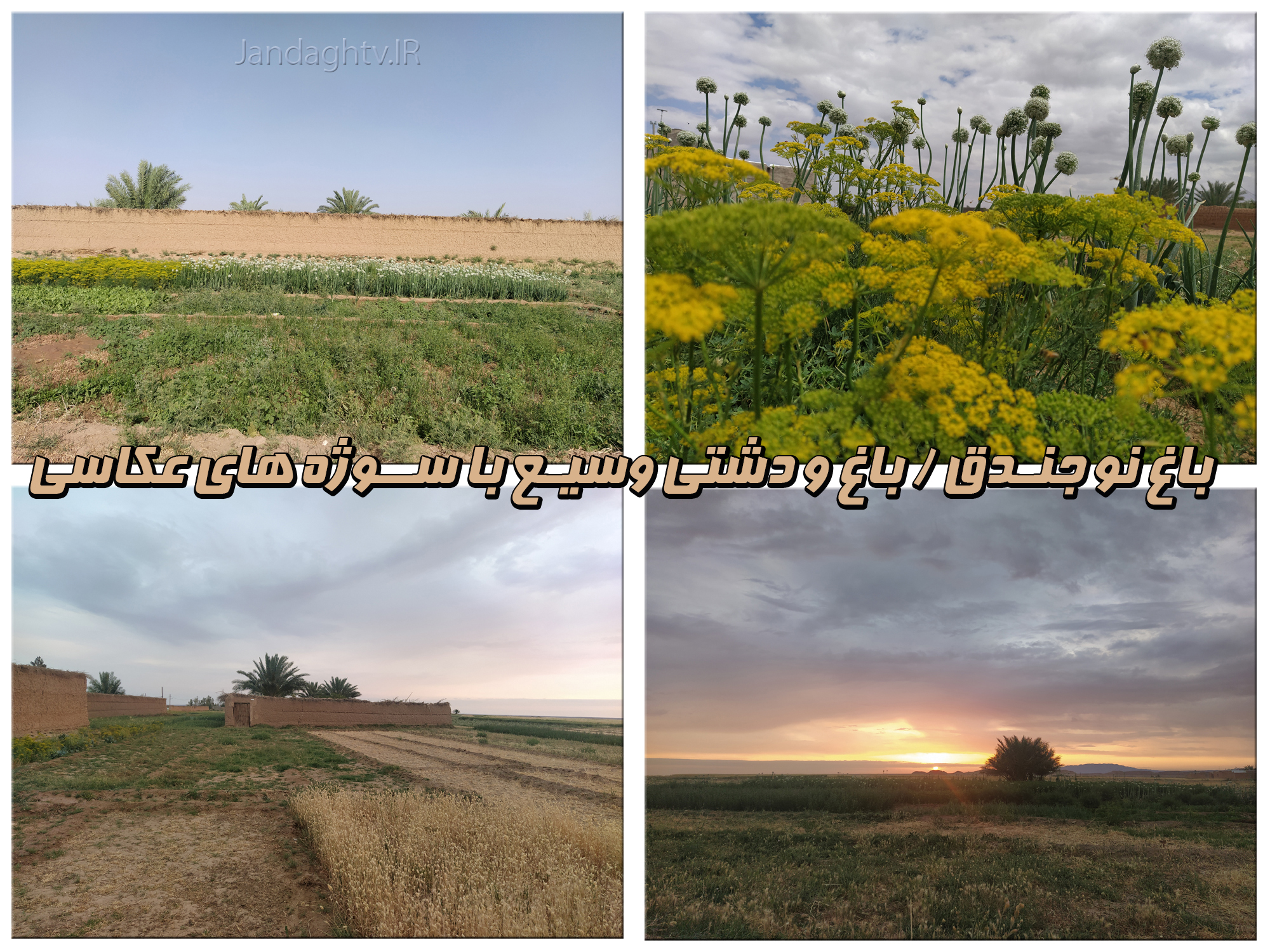 باغ نو جندق