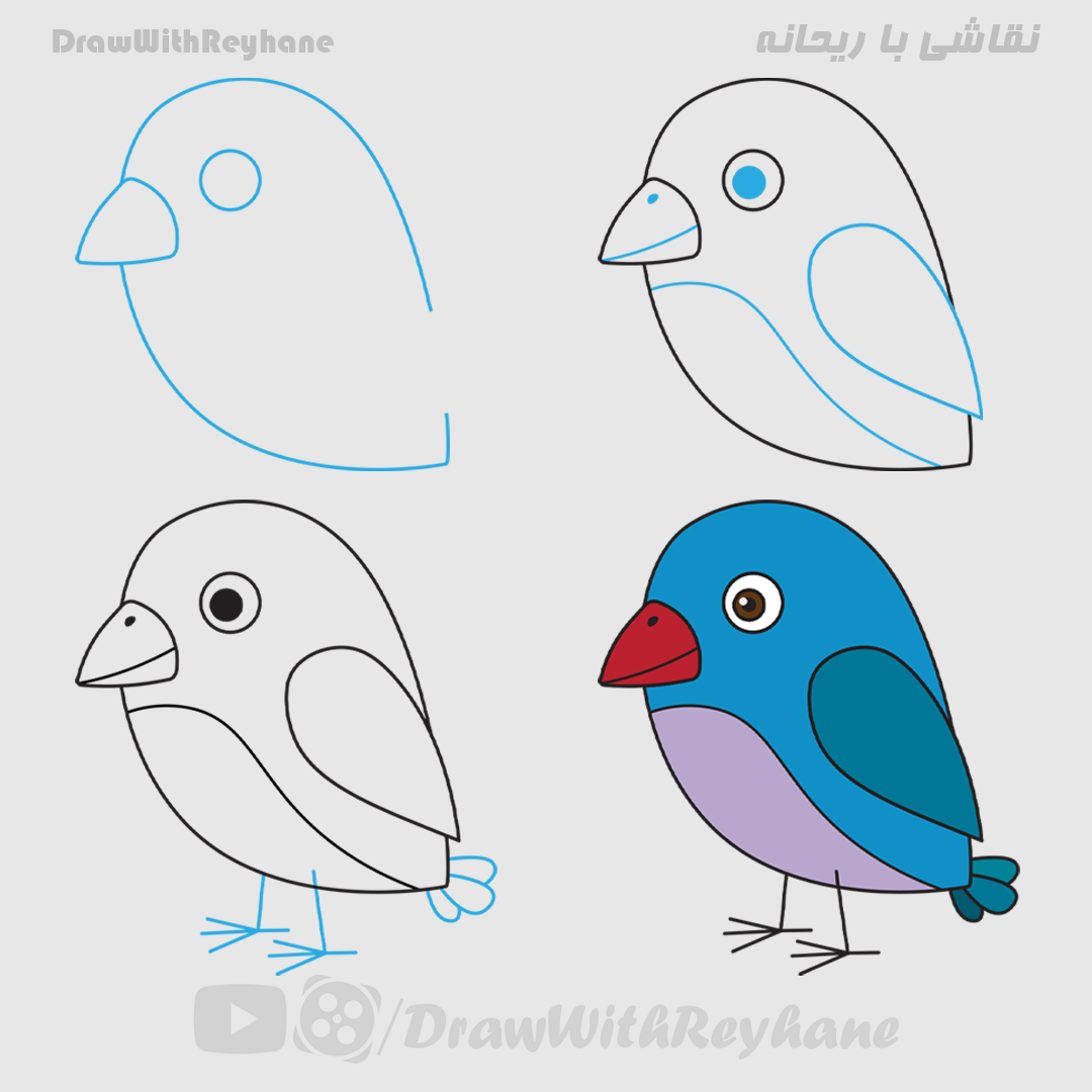 آموزش نقاشی پرنده | نقاشی پرندگان