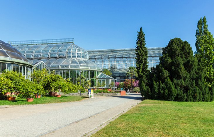 باغ گیاه شناسی و موزه گیاه شناسی برلین-دهلم