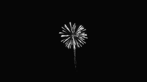 brocade-firework-effects_hnyc.gif