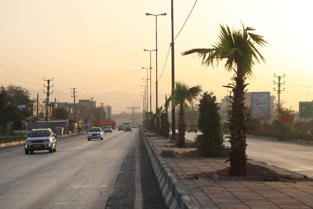 کاشت ۶۰ اصله درخت پالم و یاس هلندی در بلوار بهشت زهرا (س) منطقه ۱۹