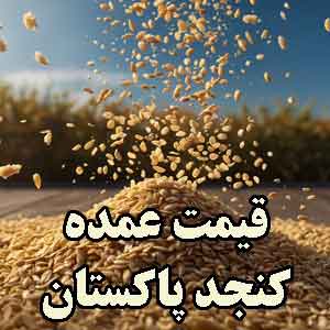 خرید کنجد عمده پاکستان