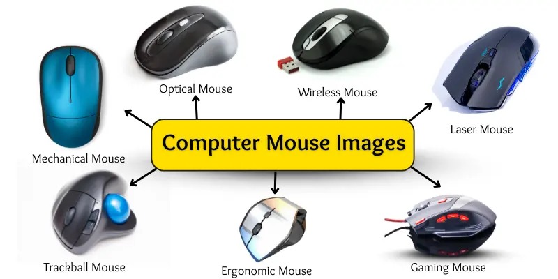 انواع ماوس كامپيوتر