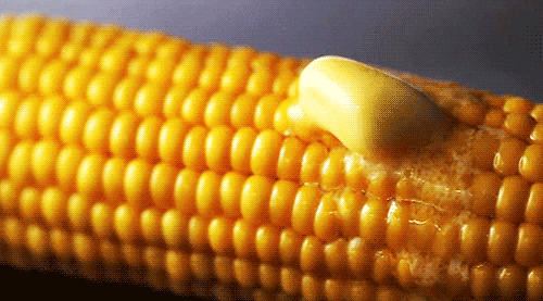 corn-gif(5)_fel6.gif