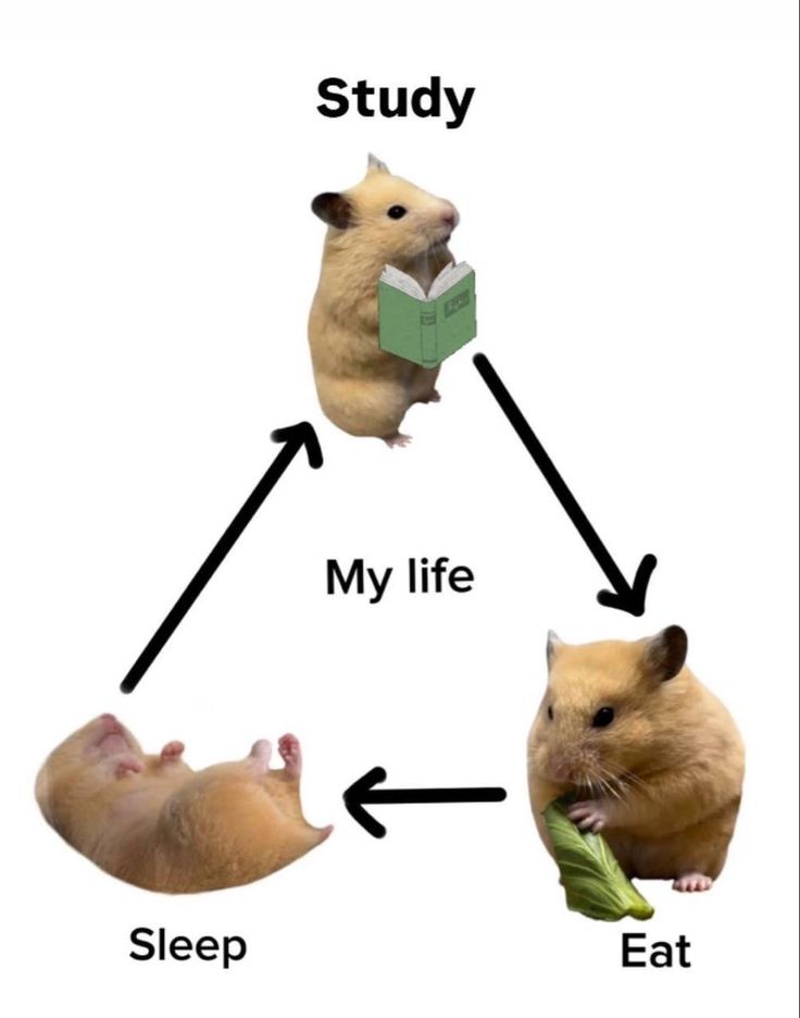 خودت بخون از نگاهم