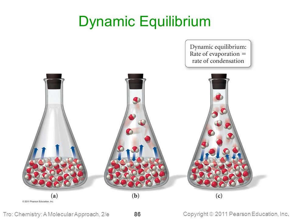 dynamicequilibriumtro_chemistry_amolecularapproach2_e_nbre.jpg