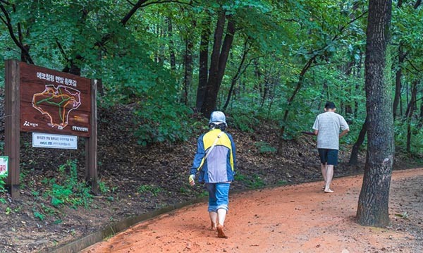 استفاده درمانی از خاک رس