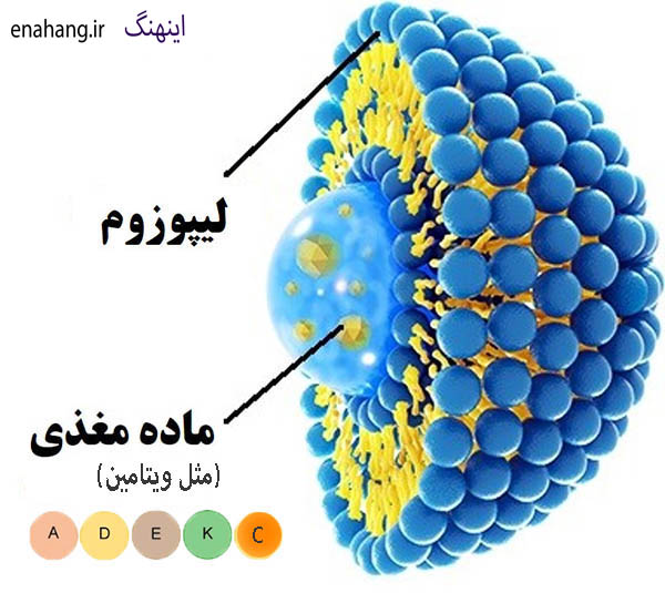 انکپسولاسیون