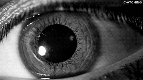 eyes-with-dilated-pupil-3ya1ofysf4ijw5f8_ze63.gif