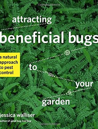 Attracting beneficial bugs to your garden