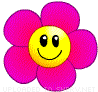 [تصویر:  flower-pink-smiley-emoticon-animation_gsyv.gif]