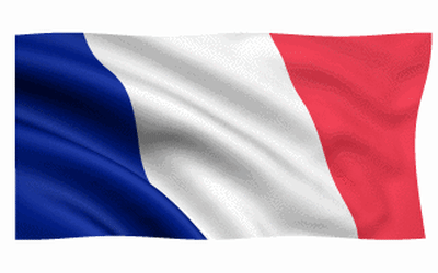 french-flag-gif_dhqq.gif