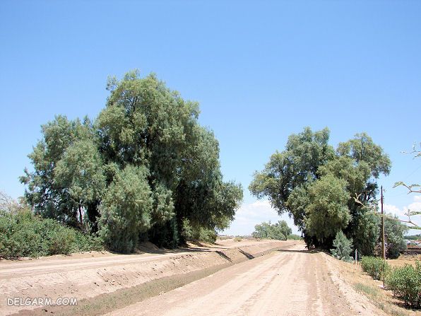 نهر آب-روستا