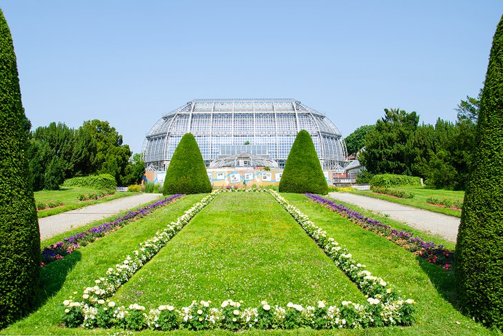 باغ گیاه شناسی و موزه گیاه شناسی برلین-دهلم