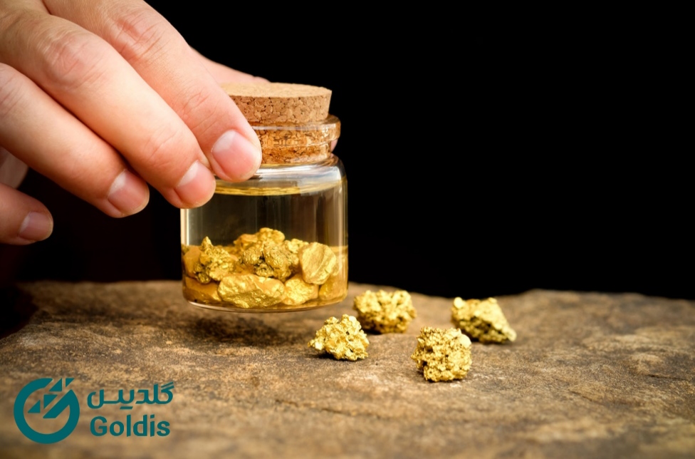 goldis-mag