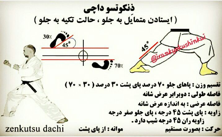 ذنکوتسو داچی | zenkutsu dachi