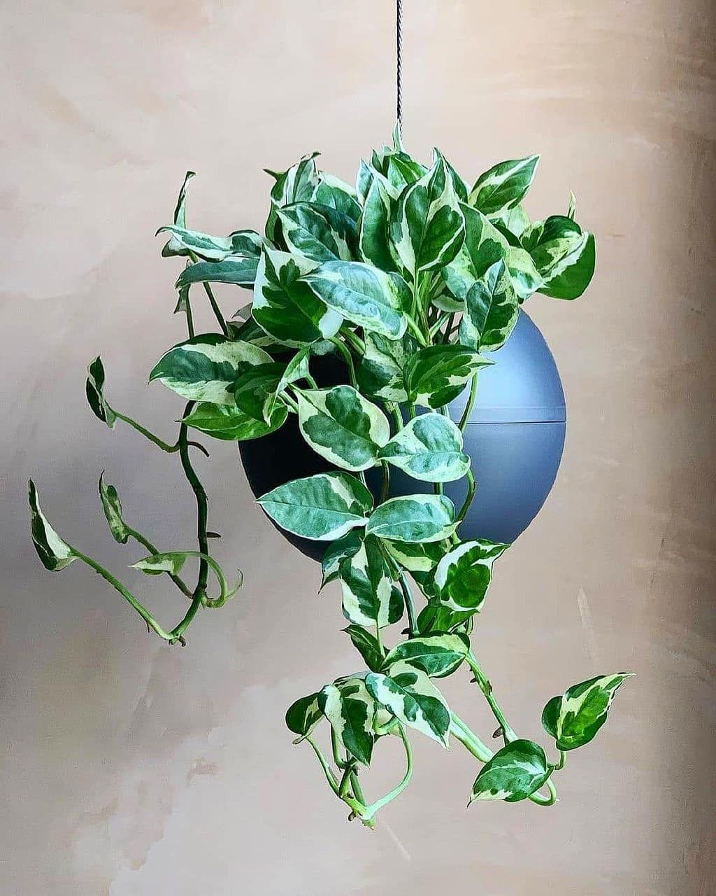 spacer.png
