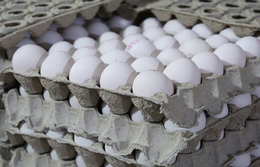 تولید بیش از ۱۱۰ هزار تن تخم‌مرغ در مهرماه