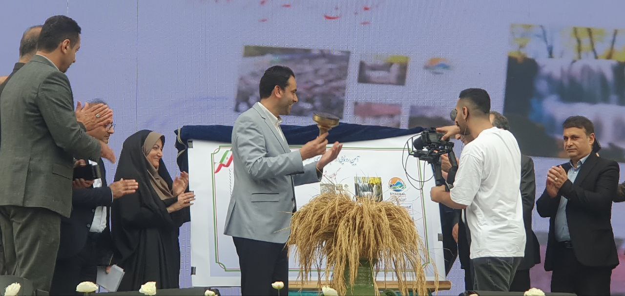 رونمایی از تمبر اختصاصی جشنواره ملی سیاهکل