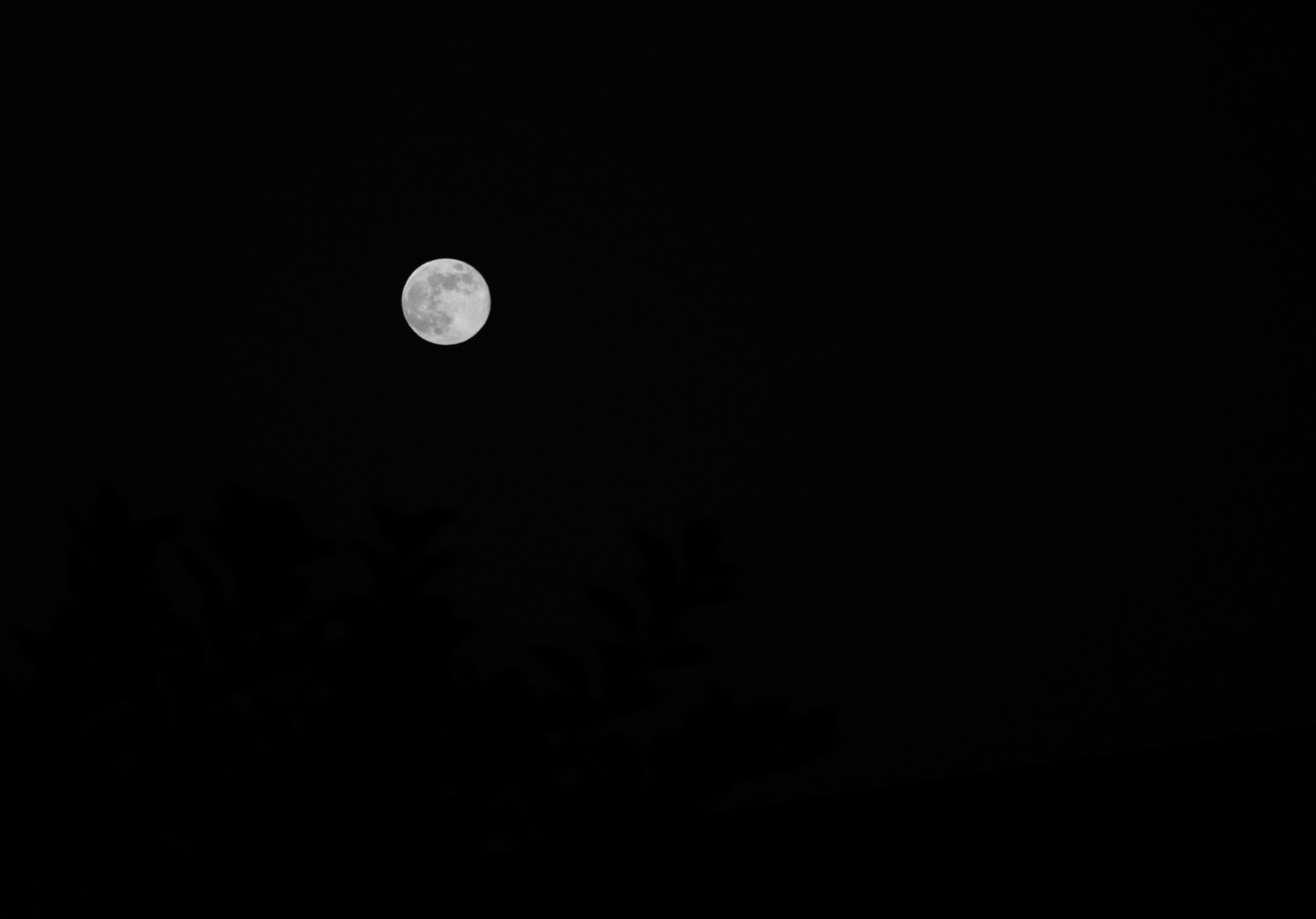 inshot_20250815_031349693_6br1.jpg