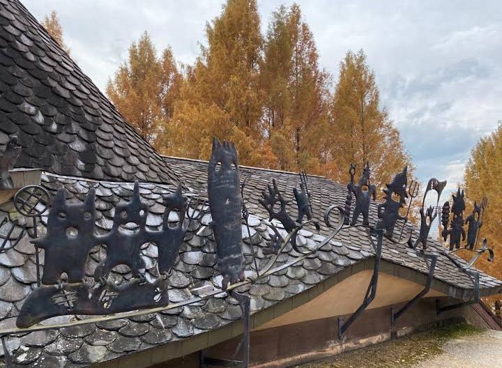 پارک جنگلی - ژاپن