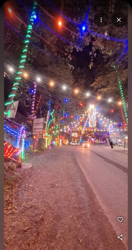 شب جنگل - ایران