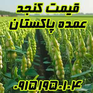 تصویر کنجد پاکستانی