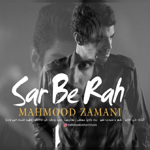 محمود زمانی سر به راه
