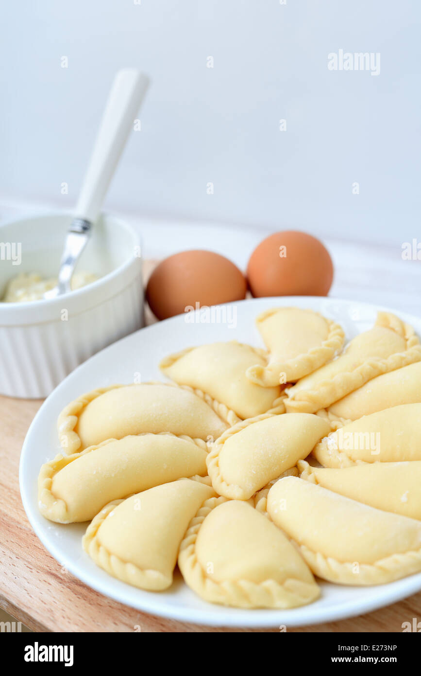 https://s6.uupload.ir/files/making-of-varenyki-or-pierogy-with-cottage-cheese-curd-picture-shows-e273np_7eoq.jpg