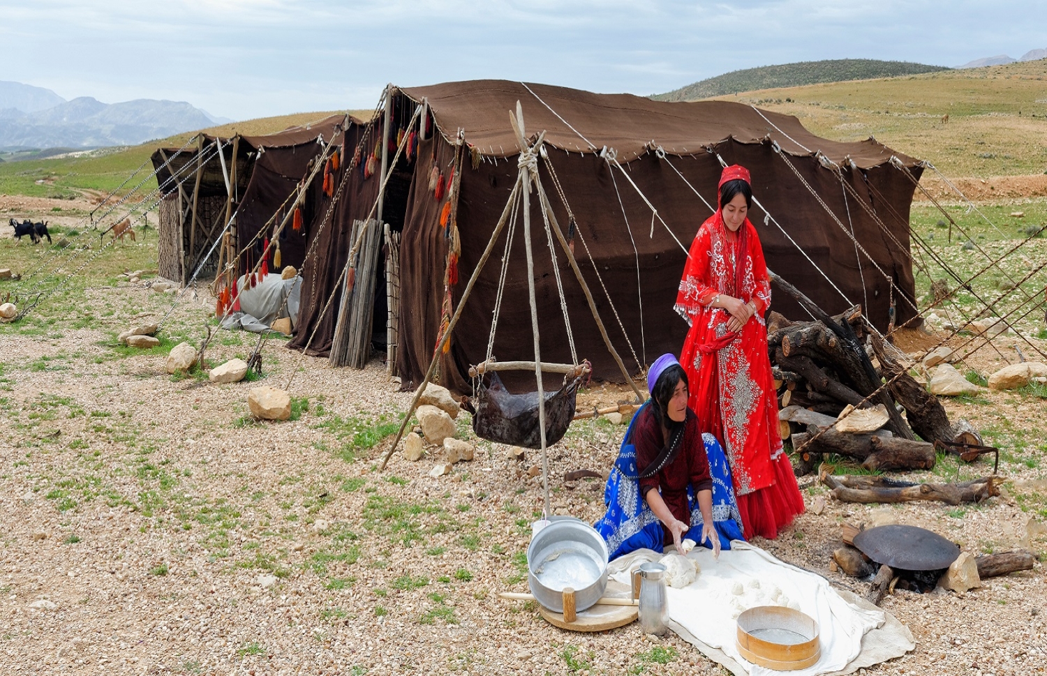 عنوان عکس عنوان عکس