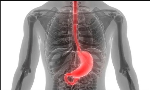 تصویر تغییر اندازه داده شده