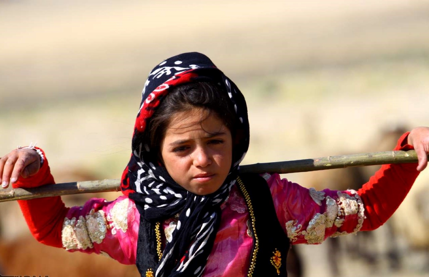 عنوان عکس عنوان عکس